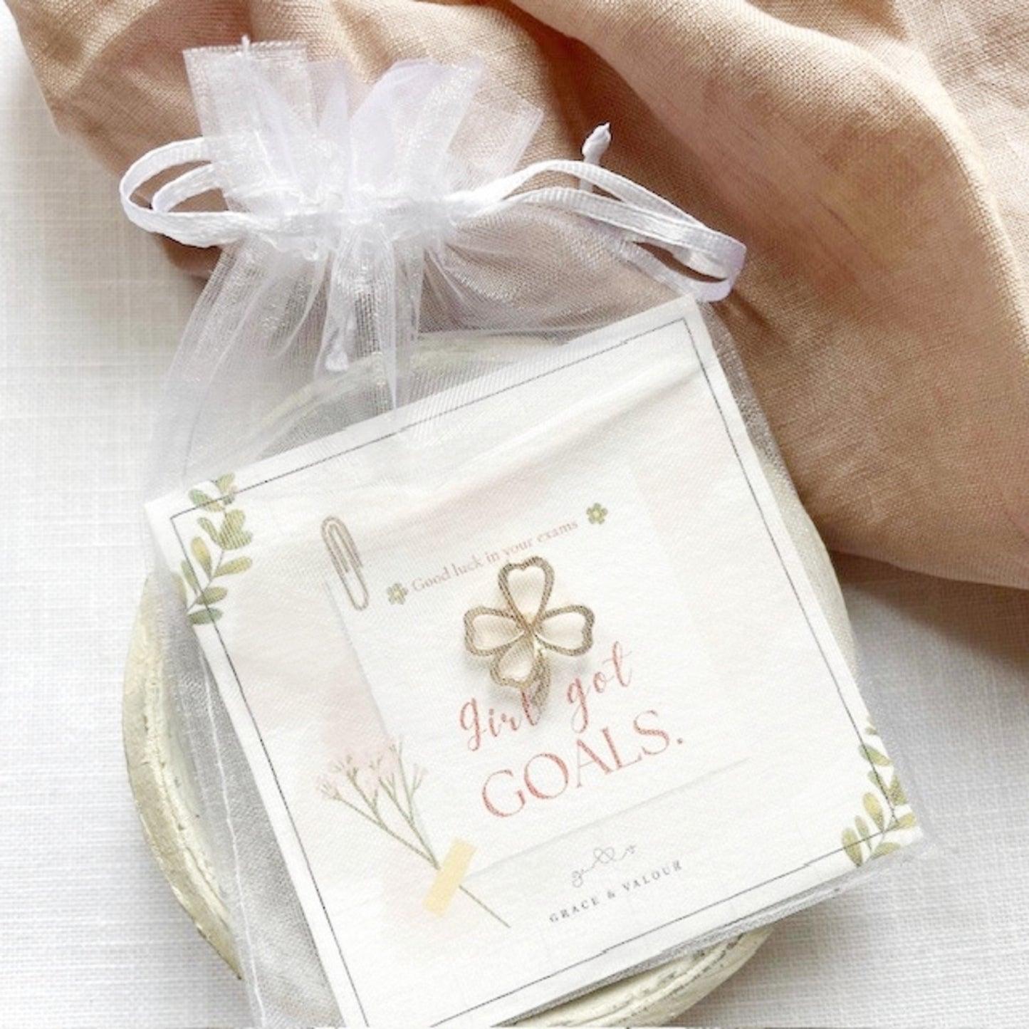 Gift bag with 'Girl got goals' giftcard and lucky clover pin