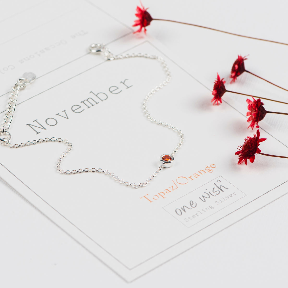 A delicate silver chain necklace with a small round orange-red gemstone, displayed on a white card labeled 'November' with dried red flowers nearby.