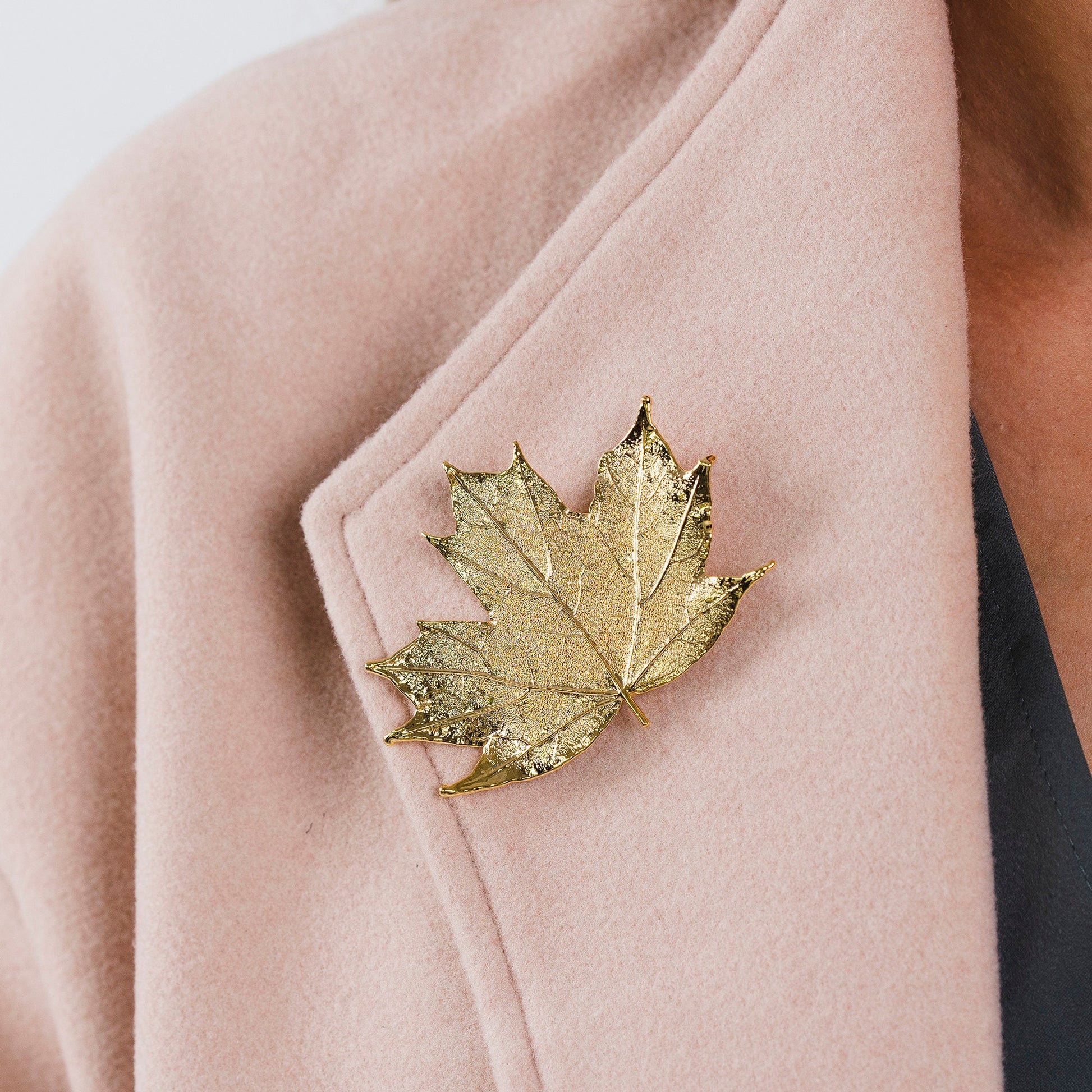 Sugar Canadian Maple Leaf Brooch Gold colour, a beautiful statement brooch made from mother nature, perfect for the nature lover, or gardener in your life, or anyone who loves statement design.  Gift for her