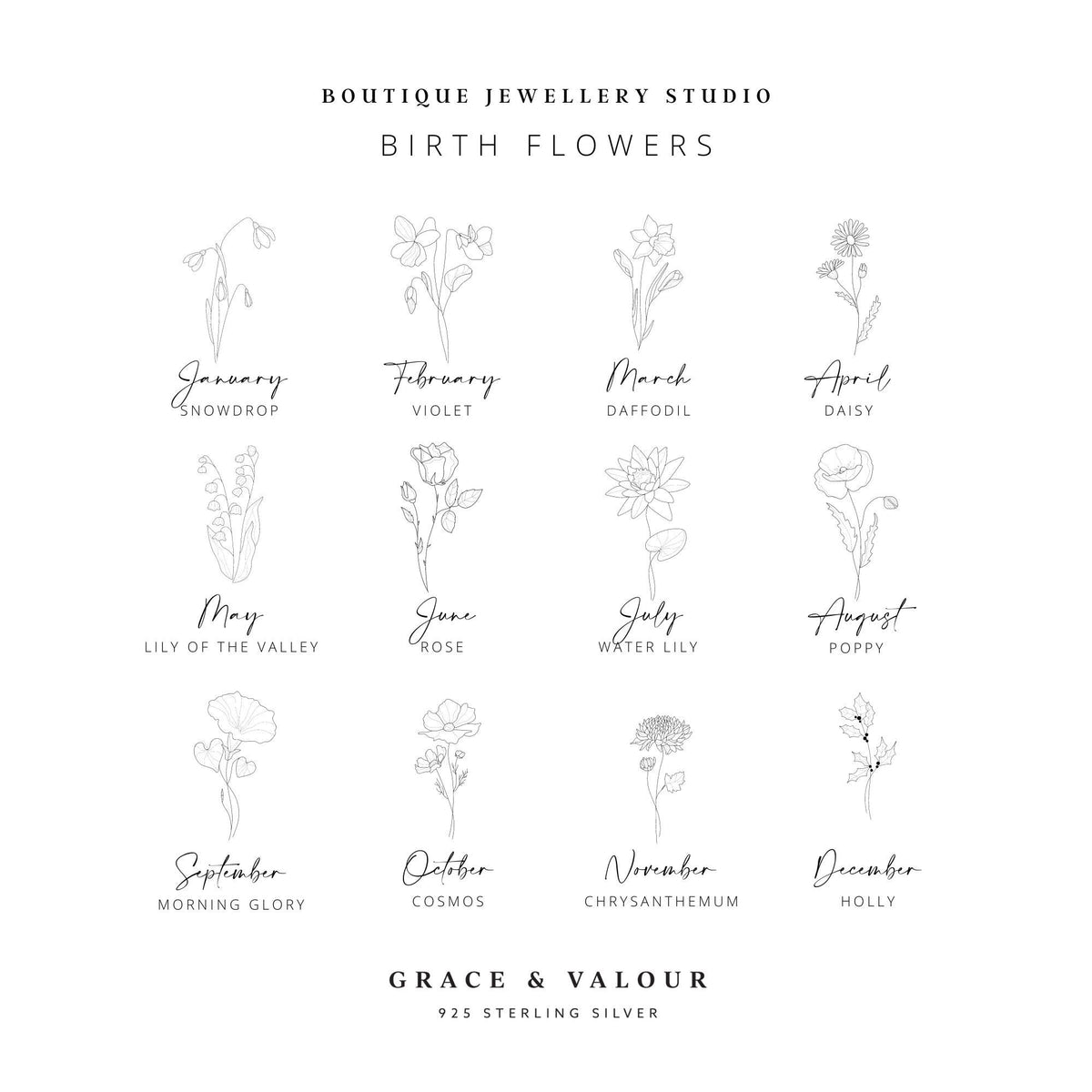 dainty set of twelve birthflower illustrations